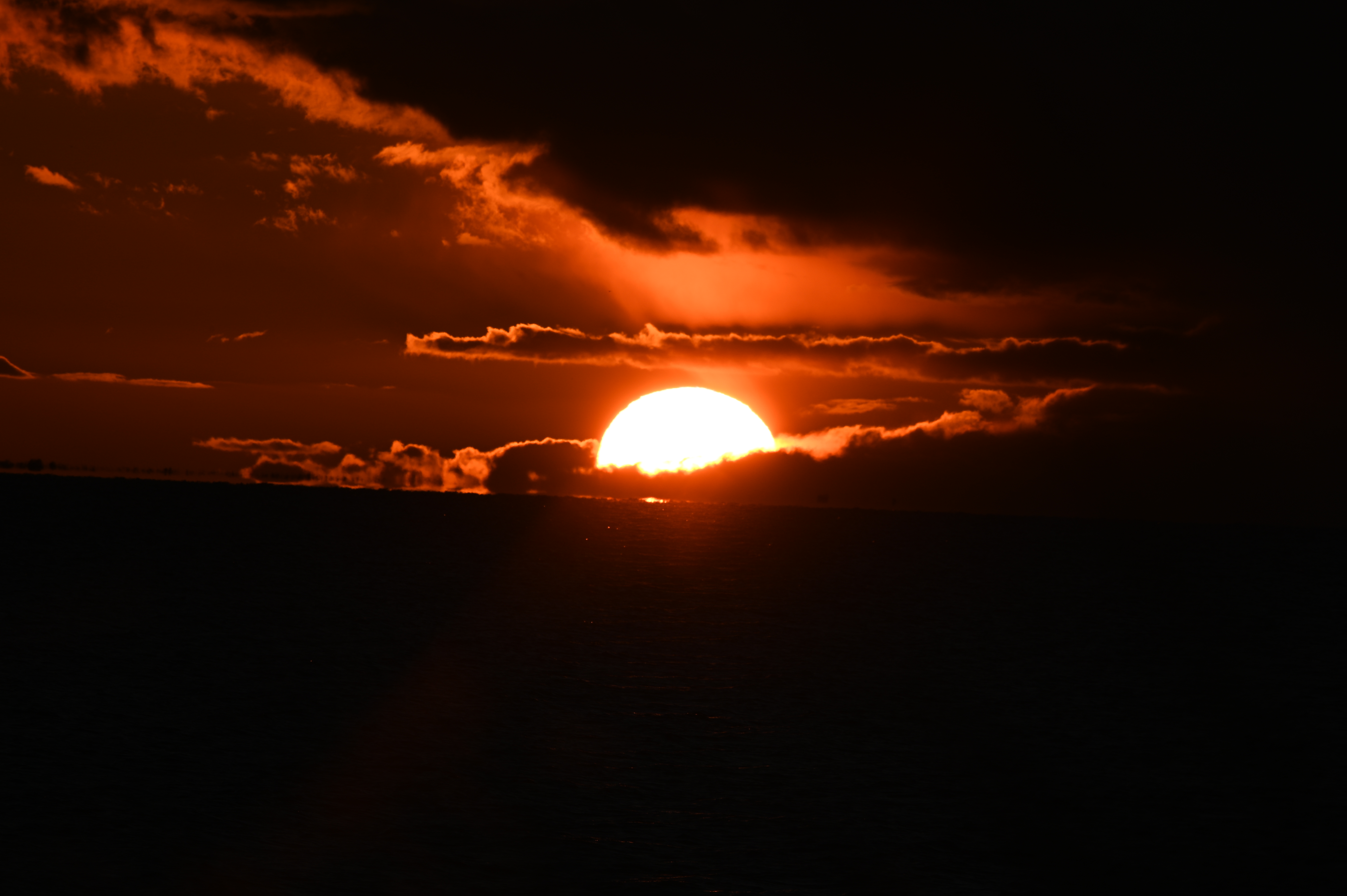 2025/10/18 - walk/DSC_0476.JPG